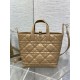 Replica Dior Small/Medium Dior Toujours Vertical Tote Bag Brown Replica Dior Small/Medium Dior Toujours Vertical Tote Bag Brown