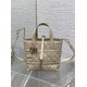 Replica Dior Small/Medium Dior Toujours Vertical Tote Bag Apricot Replica Dior Small/Medium Dior Toujours Vertical Tote Bag Apricot