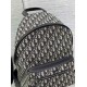Replica Dior Rider Backpack Dior Oblique Jacquard Beige /Black Replica Dior Rider Backpack Dior Oblique Jacquard Beige /Black