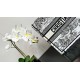 Replica Dior Medium Dior Book Tote Bag Embroidery Toile de Jouy Scotland Motif White/Black Replica Dior Medium Dior Book Tote Bag Embroidery Toile de Jouy Scotland Motif White/Black