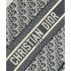 Replica Christian Dior Book Tote Medium Bag Cream Clone Replica Christian Dior Book Tote Medium Bag Cream Clone