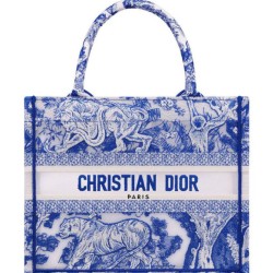 Fake Christian Dior Small Dior Book Tote Blue Replica