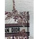 Fake Dior Medium Book Tote Bag Dior 4 Saisons Hiver Soleil Embroidery Replica Fake Dior Medium Book Tote Bag Dior 4 Saisons Hiver Soleil Embroidery Replica