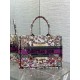 Fake Dior Medium Book Tote Bag Dior 4 Saisons Été Soleil Embroidery Replica Replica Dior Medium Book Tote Bag Dior 4 Saisons Été Soleil Embroidery