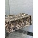 Fake Dior Large Book Tote Bag Beige Toile de Jouy Soleil Embroidery Replica Fake Dior Large Book Tote Bag Beige Toile de Jouy Soleil Embroidery Replica