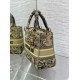 Replica Dior Dioriviera Lady D-Lite Medium Bag Raffia with Lime Toile de Jouy Sauvage Embroidery Replica Dior Dioriviera Lady D-Lite Medium Bag Raffia with Lime Toile de Jouy Sauvage Embroidery