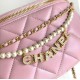 Fake Chanel Waist Bag AS4991 Pink Replica