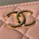 Fake Chanel Shoulder bag AS3787 Pink Replica