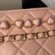 Fake Chanel Shoulder bag AS3787 Pink Replica