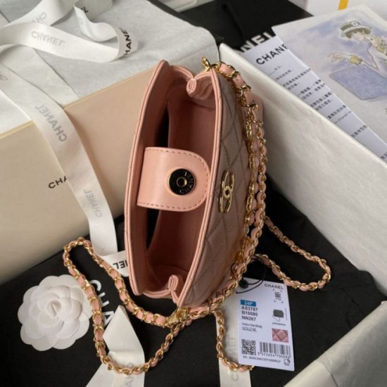 Fake Chanel Shoulder bag AS3787 Pink Replica
