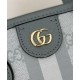 Replica Gucci Ophidia Series mini tote bag Blue Replica Gucci Ophidia Series mini tote bag Blue