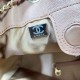 Replica Chanel 25B Medium Backpack Grained Calfskin Brown AS5600