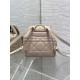 Replica Dior Caro Small Backpack in Beige Macrocannage Lambskin