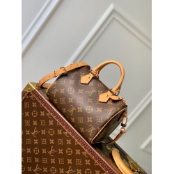 Top Replica Louis Vuitton Classic Speedy Bandoulière 20 Handbag M81086