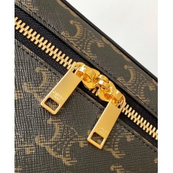 Replica Celine Vanity Triomphe Canvas Bag Coffee
