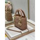 Replica Dior Mini Lady Dior Bag with Chain Blush Cannage