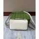 Replica Gucci Petite GG Mini Shoulder Bag 739722 Cream