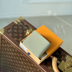 Fake Louis Vuitton Multiple Wallet LV Aerogram M82274 Replica