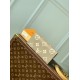 Replica Louis Vuitton Emilie Wallet Bicolor Monogram M82341