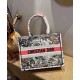 Replica Dior Small Book Tote In Multicolor Dior Constellation Embroidery Replica Dior Small Book Tote In Multicolor Dior Constellation Embroidery