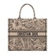 Fake Christian Dior Large Dior Book Tote Bag Apricot Replica Replica Christian Dior Large Dior Book Tote Bag Apricot