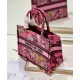 Replica Christian Dior Small Dior Book Tote Bag Peachblow