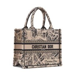 Fake Christian Dior Small Dior Book Tote Bag Apricot Replica