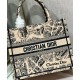Replica Christian Dior Small Dior Book Tote Bag Apricot Fake Christian Dior Small Dior Book Tote Bag Apricot Replica