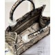 Replica Christian Dior Small Dior Book Tote Bag Apricot Fake Christian Dior Small Dior Book Tote Bag Apricot Replica