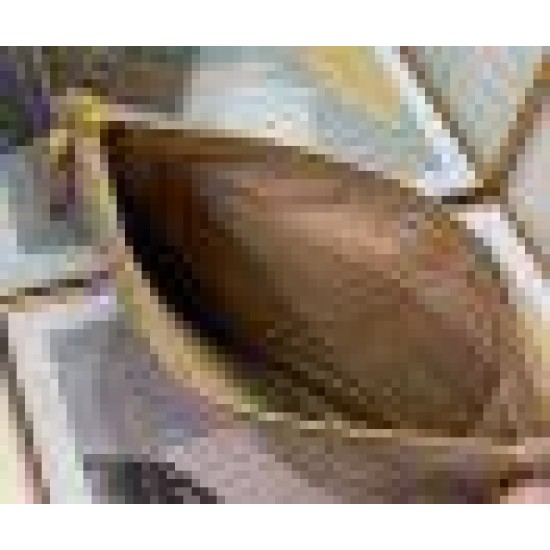 Fake Dior Large Caro Daily Pouch Beige Replica Fake Dior Large Caro Daily Pouch Beige Replica