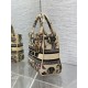 Super Clone Replica Dior Medium Lady D-Lite Canvas Embroidered Cabinet De Curiosites Bag in Beige Top Replica Dior Medium Lady D-Lite Canvas Embroidered Cabinet De Curiosites Bag in Beige