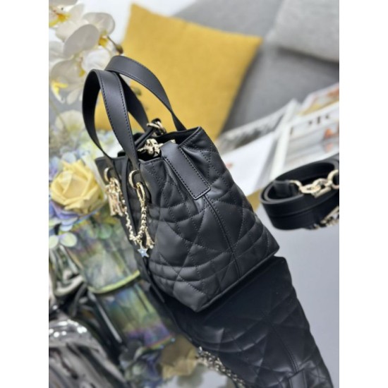 Top Replica Dior Toujours Small Vertical Tote Bag with Lucky Charm, Black