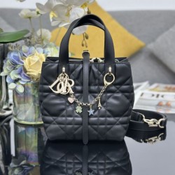 Top Replica Dior Toujours Small Vertical Tote Bag with Lucky Charm, Black
