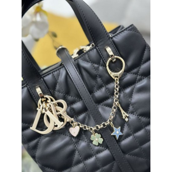 Top Replica Dior Toujours Small Vertical Tote Bag with Lucky Charm, Black