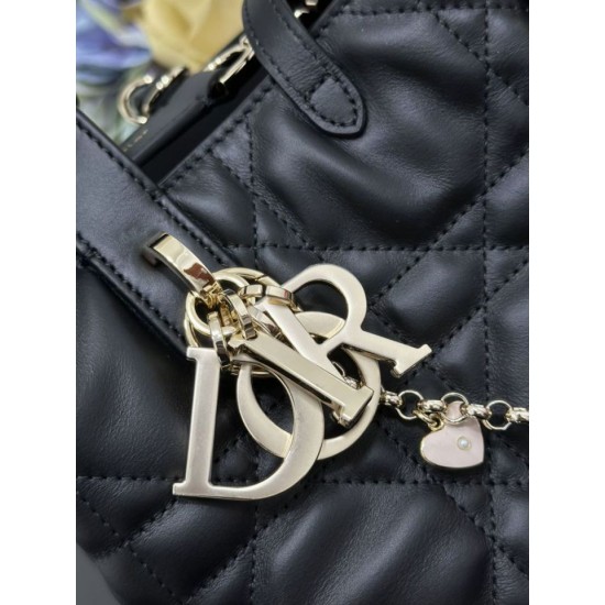 Top Replica Dior Toujours Small Vertical Tote Bag with Lucky Charm, Black