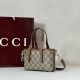 Top Replica Gucci Mini Bag 855491 Brown
