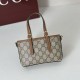 Top Replica Gucci Mini Bag 855491 Brown
