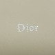 AAA Replica Dior Bow Small/Medium Crossbody Bag Light Beige Stainless Steel 1:1 Replica Dior Bow Small/Medium Crossbody Bag Light Beige Stainless Steel Knockoff