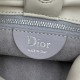 AAA Replica Dior Bow Small/Medium Crossbody Bag Light Beige Stainless Steel 1:1 Replica Dior Bow Small/Medium Crossbody Bag Light Beige Stainless Steel Knockoff
