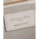 AAA Replica Dior Lucky Medium Dior Book Tote White 1:1 Replica Dior Lucky Medium Dior Book Tote White Knockoff