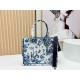 Mirror Quality Replica Dior Book Tote Small/Medium/Large with Toile de Jouy Embroidery in Blue/White Clone