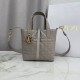 Luxury Replica Dior Toujours Small Vertical Tote Bag Gray Knockoff Mirror Quality Replica Dior Toujours Small Vertical Tote Bag Gray Clone