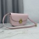 Luxury Replica Dior Medallion Crossbody Bag 23cm M3920 Pink Knockoff Mirror Quality Replica Dior Medallion Crossbody Bag 23cm M3920 Pink Clone