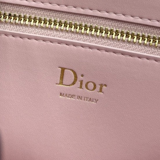 Luxury Replica Dior Medallion Crossbody Bag 23cm M3920 Pink Knockoff Mirror Quality Replica Dior Medallion Crossbody Bag 23cm M3920 Pink Clone