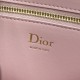 Luxury Replica Dior Medallion Crossbody Bag 23cm M3920 Pink Knockoff Mirror Quality Replica Dior Medallion Crossbody Bag 23cm M3920 Pink Clone