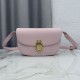 Luxury Replica Dior Medallion Crossbody Bag 23cm M3920 Pink Knockoff Mirror Quality Replica Dior Medallion Crossbody Bag 23cm M3920 Pink Clone