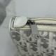 Mirror Quality Replica Dior Oblique Bow Chain clutch S2504 beige/gray Clone