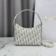 Luxury Replica Dior 30 Montaigne Miss Caro Oblique shoulder bag beige/gray Knockoff Mirror Quality Replica Dior 30 Montaigne Miss Caro Oblique shoulder bag beige/gray Clone