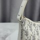 Luxury Replica Dior 30 Montaigne Miss Caro Oblique shoulder bag beige/gray Knockoff Mirror Quality Replica Dior 30 Montaigne Miss Caro Oblique shoulder bag beige/gray Clone