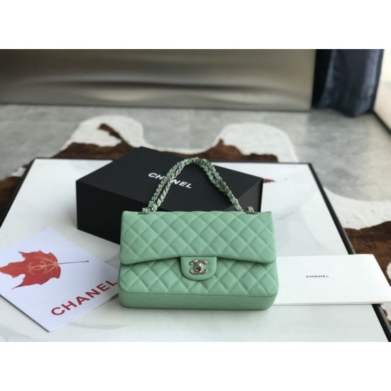 Replica Classic Grained Calfskin Flap Bag A1112 Light Green